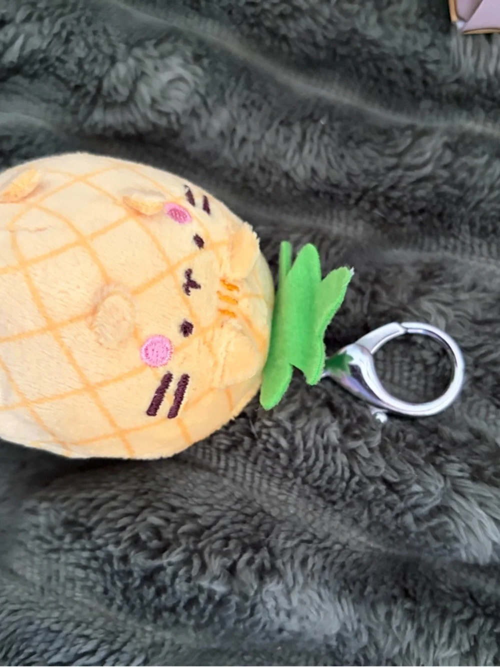 Pusheen 2026 Pet Box with 4 items never opened and 2 extra Pusheen goodies